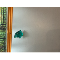 BEAUTIFUL Lalique Turquoise Glass Fish