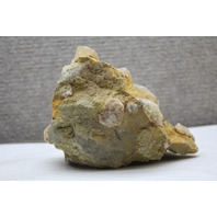 Natural Large Honey Calcite Crystal Cluster