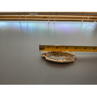 VINTAGE BELT BUCKLE Limited Edition Solid Brass Newton Kansas The Mennonite Heritage