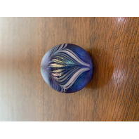 GORGEOUS Blue Iridescent Small PULLED FEATHER Art Glass Paperweight 2"H SIGNED