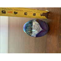STUNNING Glass Eye Studio Iridescent PULLED FEATHER Egg Shaped Paperweight 3"H