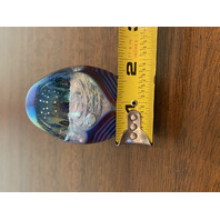 STUNNING Glass Eye Studio Iridescent PULLED FEATHER Egg Shaped Paperweight 3"H
