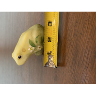STUNNING VTG FENTON Yellow/Green Floral PAINTED Frog Figurine W/LABEL SIGNED 3"L