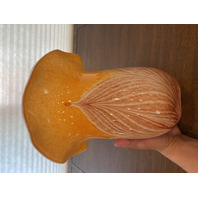 STUNNING LARGE Orange & White PULLED FEATHER Art Glass Vase 10.75"H