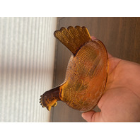 BEAUTIFUL VTG Indiana Glass Honey Amber Glass Nesting Hen Design Candy Dish 7"L