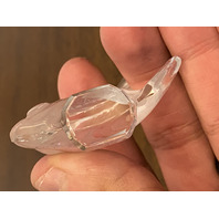 GORGEOUS SmallLALIQUE Crystal Frosted Clear Fish Paperweight 2"L FRANCE