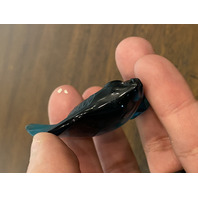 GORGEOUS Small LALIQUE Crystal Turquoise Fish Paperweight 2"L FRANCE