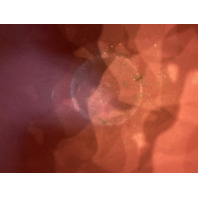 VTG VAN BRIGGLE Mulberry PHILODENDRON Leaf Art Pottery Rose Bowl Vase 4"H SIGNED