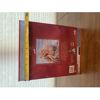 2001 SPECIAL EDITION HOLIDAY CELEBRATION Barbie Doll Mattel 50304