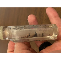 BEAUTIFUL VTG Chinese Reverse PAINTED Snuff Bottle "SHI NU" "JIAZI Year 3.5"H