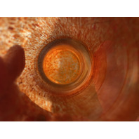 BEAUTIFUL Orange & Red Splatter Pattern Art Glass Vase 6.25"H