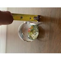 BEAUTIFUL Multicolored Underwater Sea Life Art Glass Paperweight 2"W