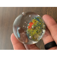 BEAUTIFUL Multicolored Underwater Sea Life Art Glass Paperweight 2"W