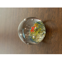 BEAUTIFUL Multicolored Underwater Sea Life Art Glass Paperweight 2"W