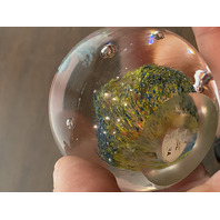 BEAUTIFUL Multicolored Underwater Sea Life Art Glass Paperweight 2"W