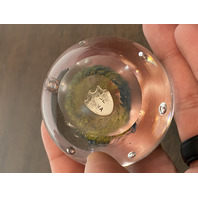 BEAUTIFUL Multicolored Underwater Sea Life Art Glass Paperweight 2"W