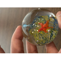 BEAUTIFUL Multicolored Underwater Sea Life Art Glass Paperweight 2"W