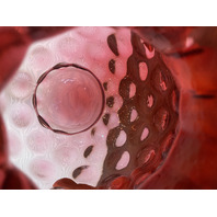 STUNNING LARGE VTG FENTON Cranberry Dot Optic Pitcher W/Clear Ribbed Handle 9.5"