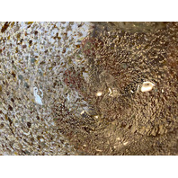 VTG MURANO Multicolored Silver Flake Confetti Ashtray Bowl 6"L ITALY