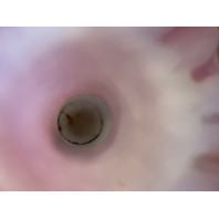 ANTIQUE Pink Satin MOTHER OF PEARL Quilted  Ruffled Rim Art Glass Vase 6.25"H