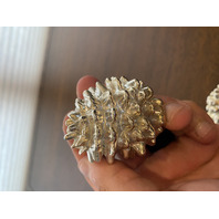 Silver Treasures By Godinger Silver Plated Pine Cone Salt & Pepper Shakers 2"H