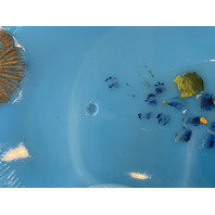 PAIR Of ANTIQUE DITHRIDGE Blue Opaline Glass Dishes