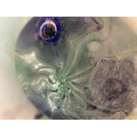 VTG 1998 ROBERT EICKHOLT Green & Purple Flower Art Glass Vase 8.75"H SIGNED