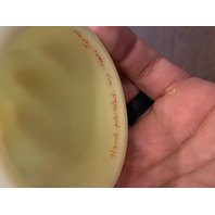 VTG UV REACTIVE Fenton Burmese PAINTED/SIGNED Floral Fairy Lamp 4.75"H