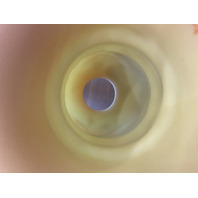 VTG UV REACTIVE FENTON Burmese"ROSES" Fairy Lamp HANDPAINTED & SIGNED 6"H