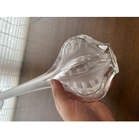 VTG LALIQUE Frosted Crystal MARIE CLAUDE SOLIFLORE Vase SIGNED 13.5"H FRANCE