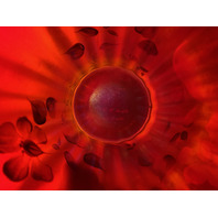 VTG 100th Anniversary FOUNDERS VASE Red Stretch Glass Floral Vase SIGNED 6"H