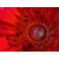 VTG 100th Anniversary FOUNDERS VASE Red Stretch Glass Floral Vase SIGNED 6"H