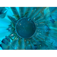 VTG FENTON Aqua White Rim 2003 HEIRLOOM OPTICS COLLECTION Floral Vase SIGNED 6"H