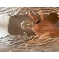 VTG LALIQUE Frosted Crystal LARGE LEAF DESIGN Vase W/LABEL SIGNED 8.75"H FRANCE