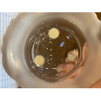 VTG LALIQUE Frosted Crystal ARUBA Ashtray Bowl W/LABEL 6.5"W SIGNED