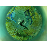 VTG Green Iridescent Abstract Art Glass Vase 5.75"H SIGNED