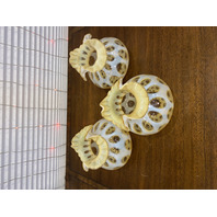 VTG SET(3) FENTON HONEYSUCKLE Opalescent COIN DOT Art Glass Lamp Shades 7"H