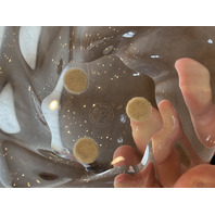 VTG Baccarat Crystal Free Form Candy Dish/Bowl SIGNED 5.5"W FRANCE