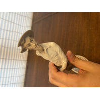 VTG LLADRO DON QUIXOTE With Sword Matte Figurine #4854, SPAIN 11.75"H