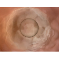 VTG FENTON Pink Satin Embossed POPPY Glass Vase 5.75"H