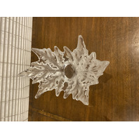 VTG LALIQUE Crystal CHAMPS ELYSEES Oval Shaped Leaf Centerpiece Bowl SIGNED 18"L