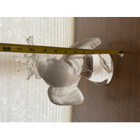 LARGE/HEAVY LALIQUE Crystal Frosted Crystal Cockatoo Sculpture SIGNED 11.5"H