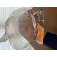 LARGE/HEAVY LALIQUE Crystal Frosted Crystal Cockatoo Sculpture SIGNED 11.5"H