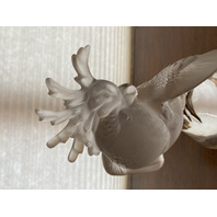 LARGE/HEAVY LALIQUE Crystal Frosted Crystal Cockatoo Sculpture SIGNED 11.5"H