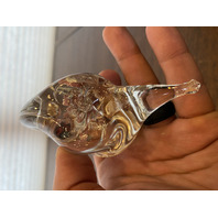 Hand Blown Clear Art Glass Spiral Shell Snail Paperweight 4.5"L
