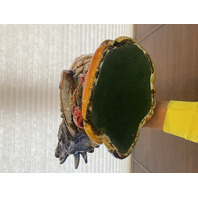 LARGE Multicolored Ceramic Rooster Sculpture On Vegetables 15.5"L x 9"W x 18"H