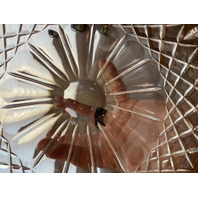 VTG Marquis By WATERFORD Crystal SHELTON Bowl SIGNED 8"W