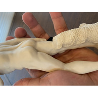 R. LEONI Michelangelo's "DAVID" Replica Resin Sculpture DEP ROMA 10.25"H ITALY