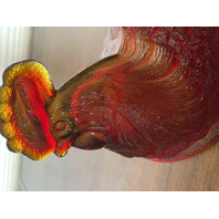 VTG FENTON UV REACTIVE Amberina Nesting Hen Split Tail Art Glass Candy Dish 8"L