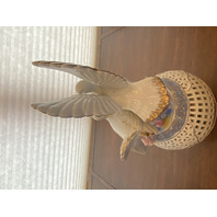 LARGE VTG Multicolored Capodimonte Ceramic Birds W/Flowers Sculpture 14.75"H